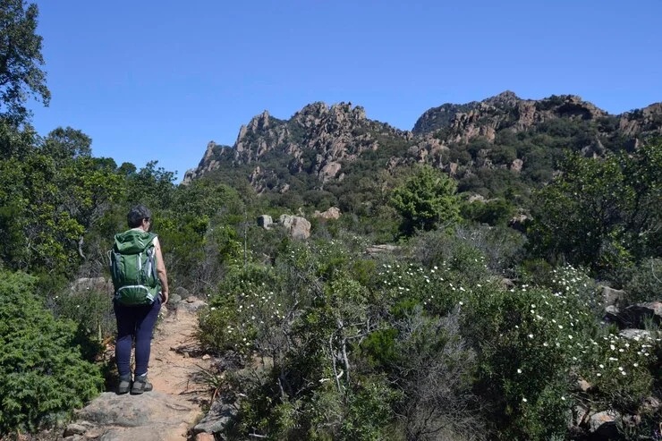 Top Blue Mountains Bushwalks and Hikes